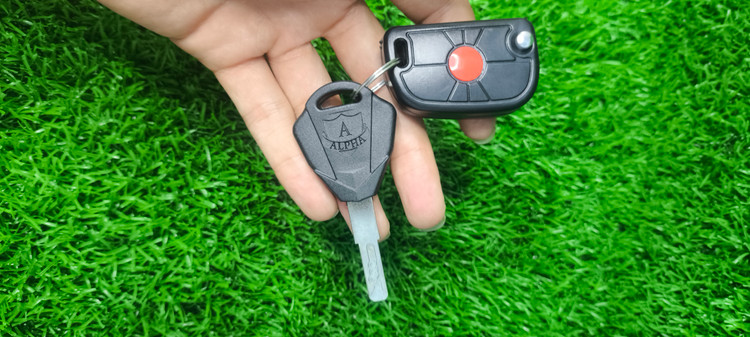 سوییچ پژویی برند آلفا